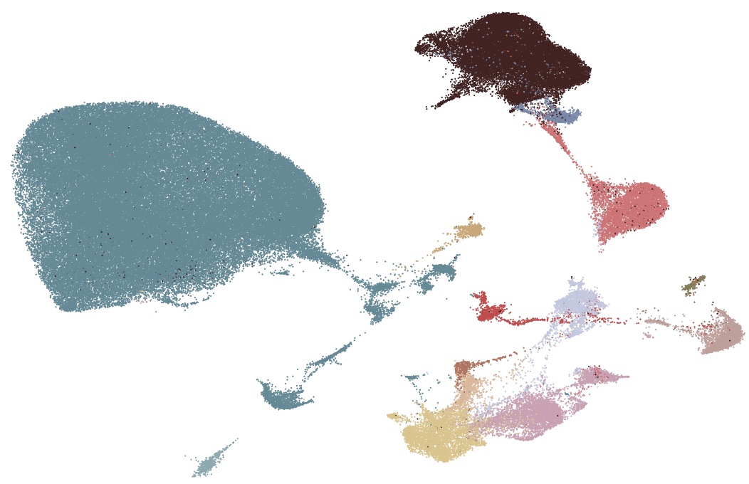 Project 2 illustration