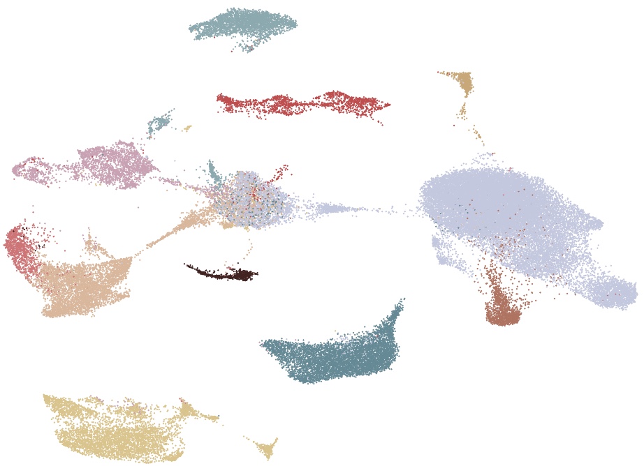 Project 5 illustration